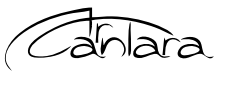 Art Cantara